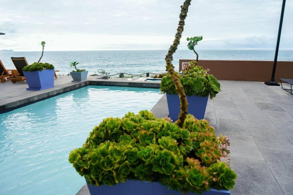 Hotel Suite Luxe Sunset ติฮัวนา ภายนอก รูปภาพ